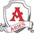 Логотип ARIES